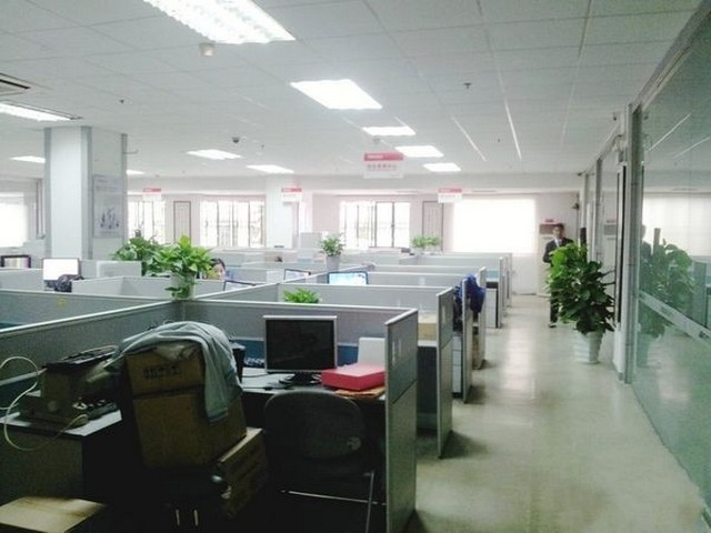 别墅室内绿化景观设计